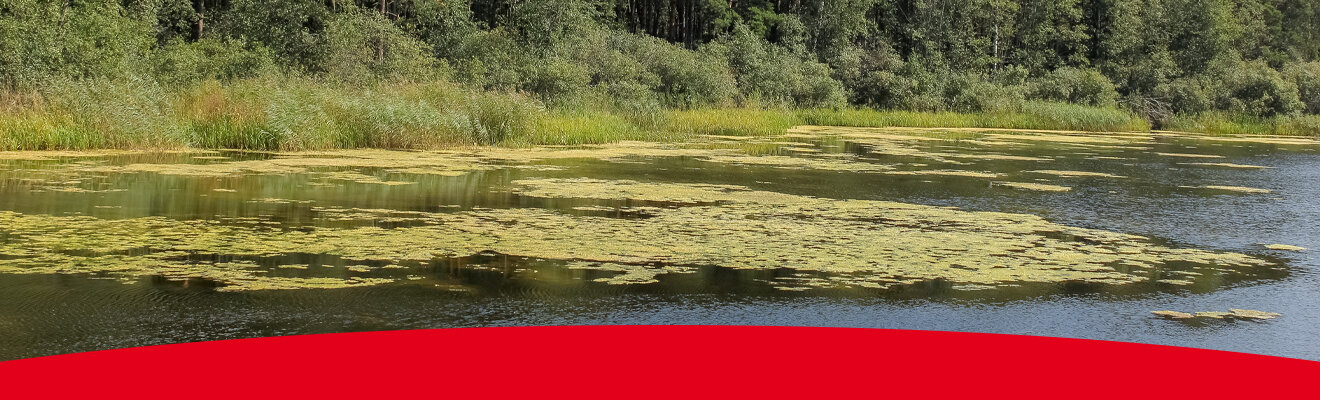 A More Ecological Pre-treatment Method Header