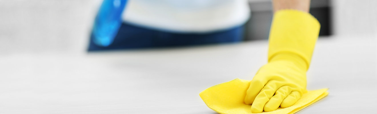 Titelbild Reinigungsanweisung