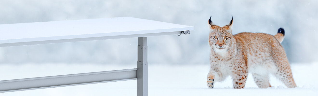 Treston TED teollisuuden sähköpöytä